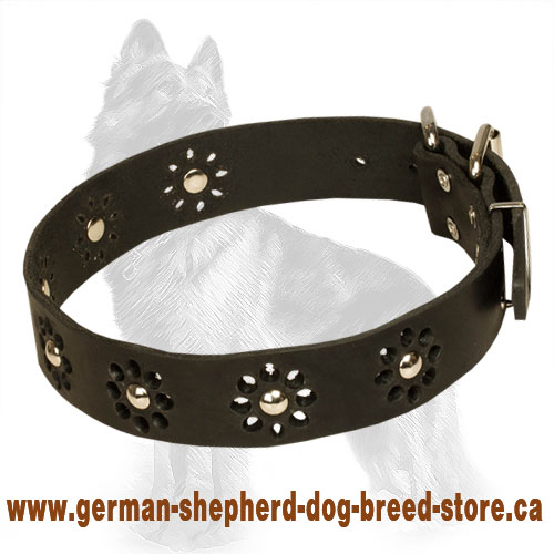 Blooming Leather German Shepherd Collar with Nickel Plated Studs