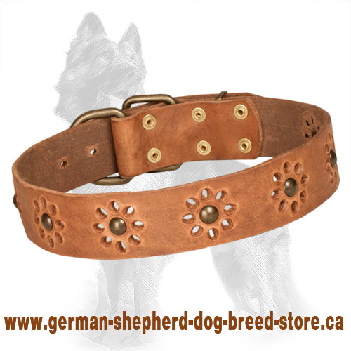Blooming Leather German Shepherd Collar with Brass Studs