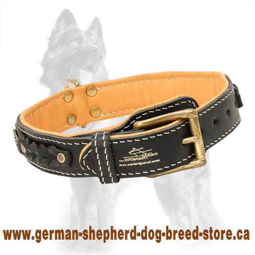 Royal Nappa Padded Hand Made Leather Dog Collar