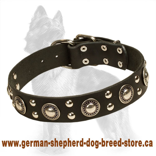 Leather German Shepherd Collar with Nickel Plated Studs and Circles