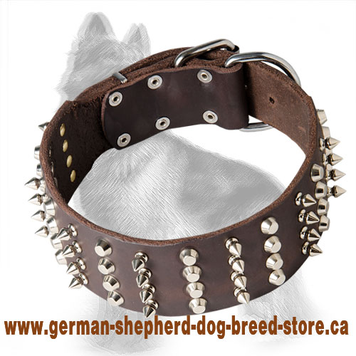 2 inch Wide Leather German Shepherd Collar with Nickel Spikes and Cones