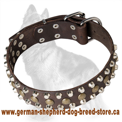 Leather German Shepherd Collar with Brass Studs and Nickel Pyramids