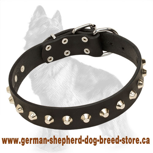 Studded Leather German Shepherd Collar with Nickel Plated Pyramids