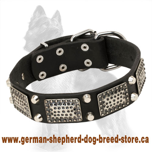 Leather German Shepherd Collar with Nickel Plates and Pyramids