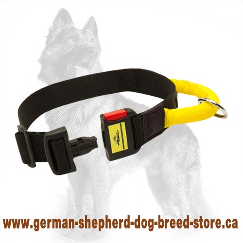 Nylon Collar with Quick Release Buckle