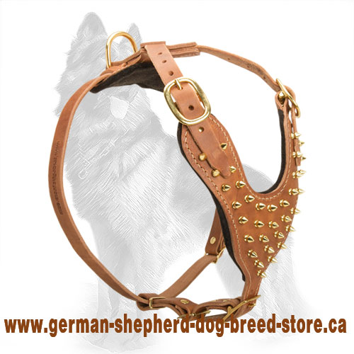 Y-Shape Leather German Shepherd Harness with Brass Spikes