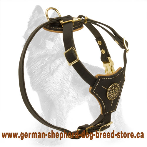 Nappa Padded Leather German Shepherd Harness for Puppies