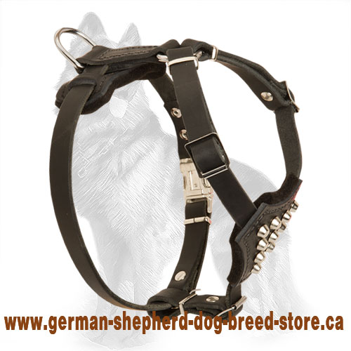Puppy Leather German Shepherd Harness Decorated with Pyramids