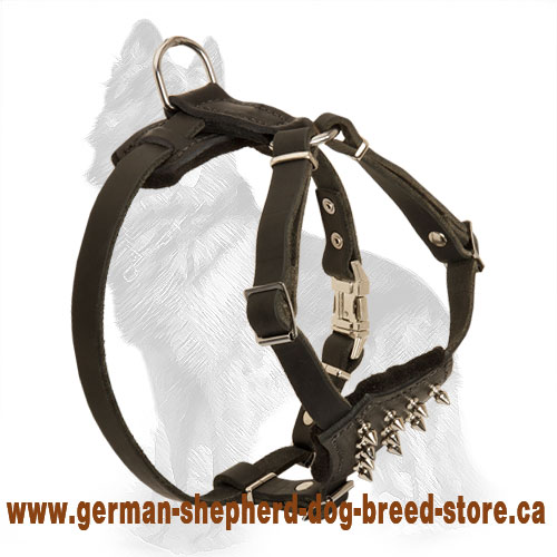 Spiked Leather German Shepherd Harness for Puppy