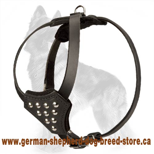 Studded Leather German Shepherd Harness for Puppies