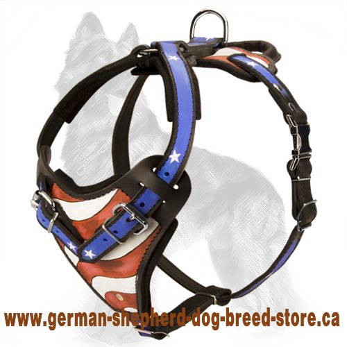 American Pride Painted Leather German Shepherd Harness