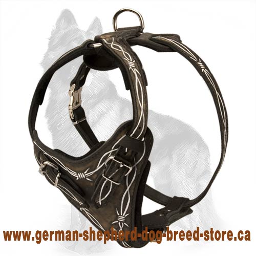 Barbed Wire Painted Leather German Shepherd Harness