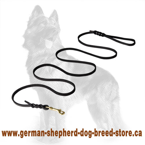 Show Leather German Shepherd Leash with Braids