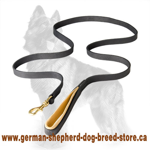 Leather Dog Leash With Support Material On The Handle - 6' LEASH