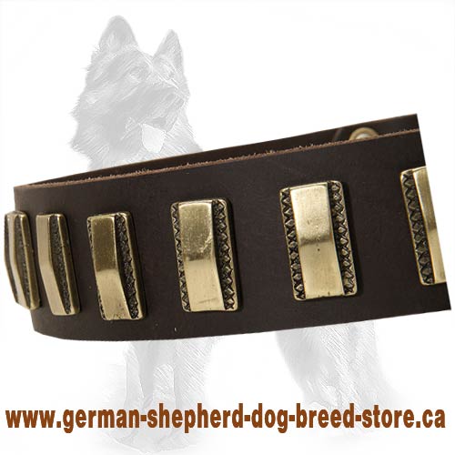 German Shepherd Leather Dog Collar with Slim Carved Brass Plates