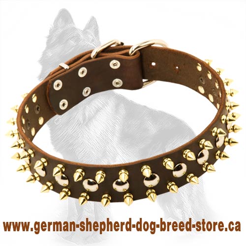 German Shepherd Leather Dog Collar with Glossy Brass Spikes and Nickel Half-Ball Studs