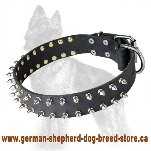 German Shepherd Leather Dog Collar with 2 Rows of Nickel Spikes