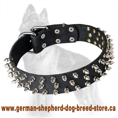 German Shepherd Leather Spiked Dog Collar