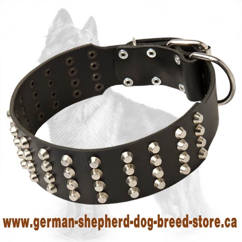 German Shepherd Leather Dog Collar Extra Wide with 4 Rows of Nickel Pyramids