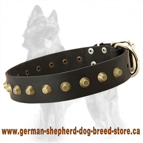 German Shepherd Leather Dog Collar with Brass Pyramids