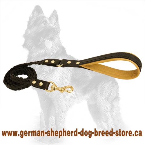 Braided Handcrafted Leather Dog Leash With Nappa Padded Handle