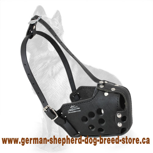 Military Dog Muzzle - Training Leather Dog Muzzle For German Shepherd