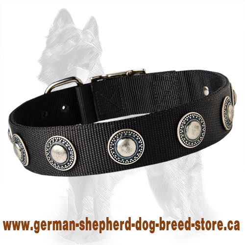 German Shepherd Nylon Dog Collar with Silver Circles