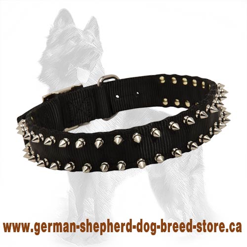 German Shepherd Nylon Dog Collar with 2 Rows of Spikes