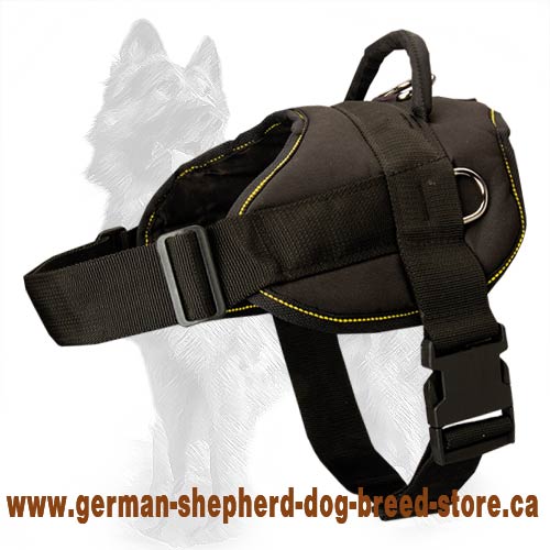 Nylon Potrol multi-purpose dog harness for pulling with handle