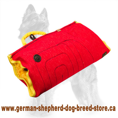 German Shepherd Puppy Bite Sleeve of French Linen PS2F 1098