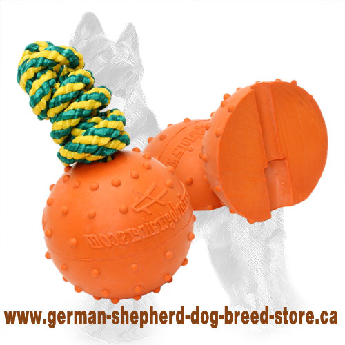 Dog water ball sale