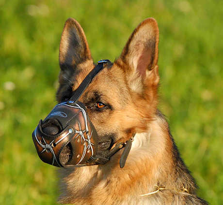 German Shepherd Leather Dog Muzzle Barbed Wire Painted