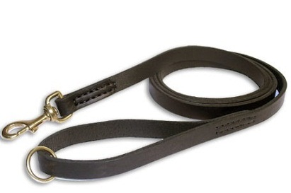 Customize LEATHER AGITATION LEAD 72" for GSD Training