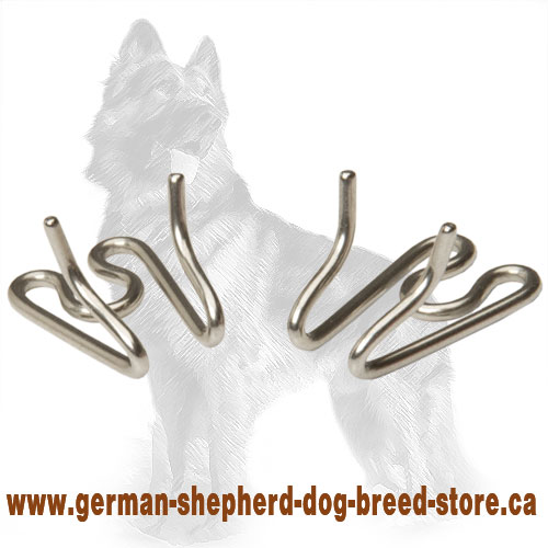 Herm Sprenger Extra Links for German Shepherd Pinch Collar of