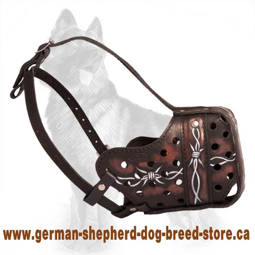 Artistic Painted Leather Muzzle for German Shepherd