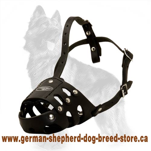 Walking Leather Dog Muzzle for German Shepherd