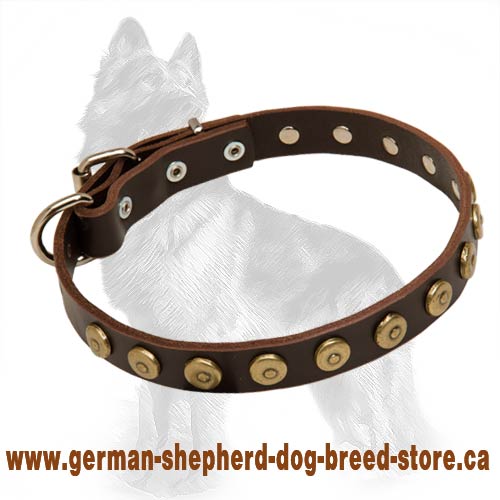 Gorgeous Wide Leather German Shepherd Collar with Dotted Circles