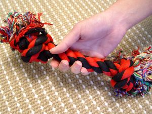 Fiber German Shepherd Bone Helps Keep Teeth Clean and Tartar Free