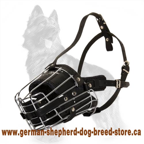 Super Protection Cage Muzzle With Leather Pads
