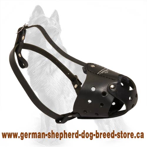 Leather German Shepherd Muzzle for Dog Walking