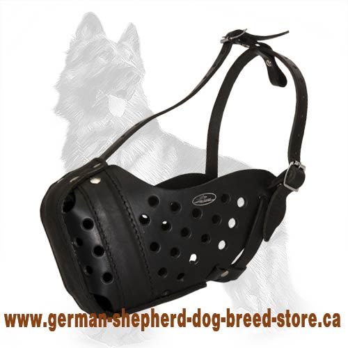 Leather German Shepherd Muzzle for Walking and Training