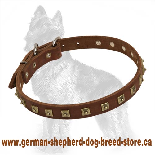 Stylish Genuine Leather Collar With Studs