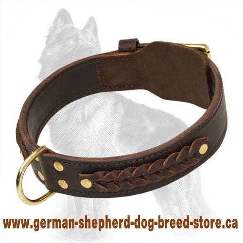 Braided Black Collar 2 Ply Wide with Brass Hardware