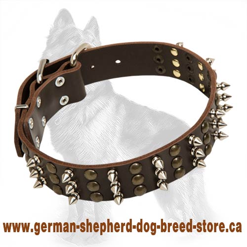 German Shepherd Leather Spiked Collar