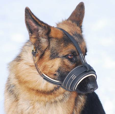 Best Royal Nappa Leather Dog Muzzle fit for German Shepherd