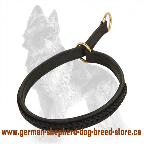 German Shepherd Wide 2 Ply Leather Choke Dog Collar