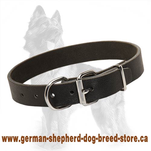 High Quality Leather German Shepherd Dog Collar - Click Image to Close