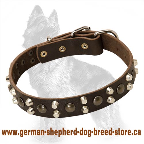 German Shepherd Stylish Leather Collar With Pyramids And Studs
