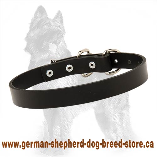 German Shepherd Leather Collar for Dog Walking