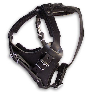 Leather sales agitation harness